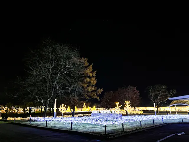 【さかぽんの冒険】ヴィーガンcafeへ☆の画像_14