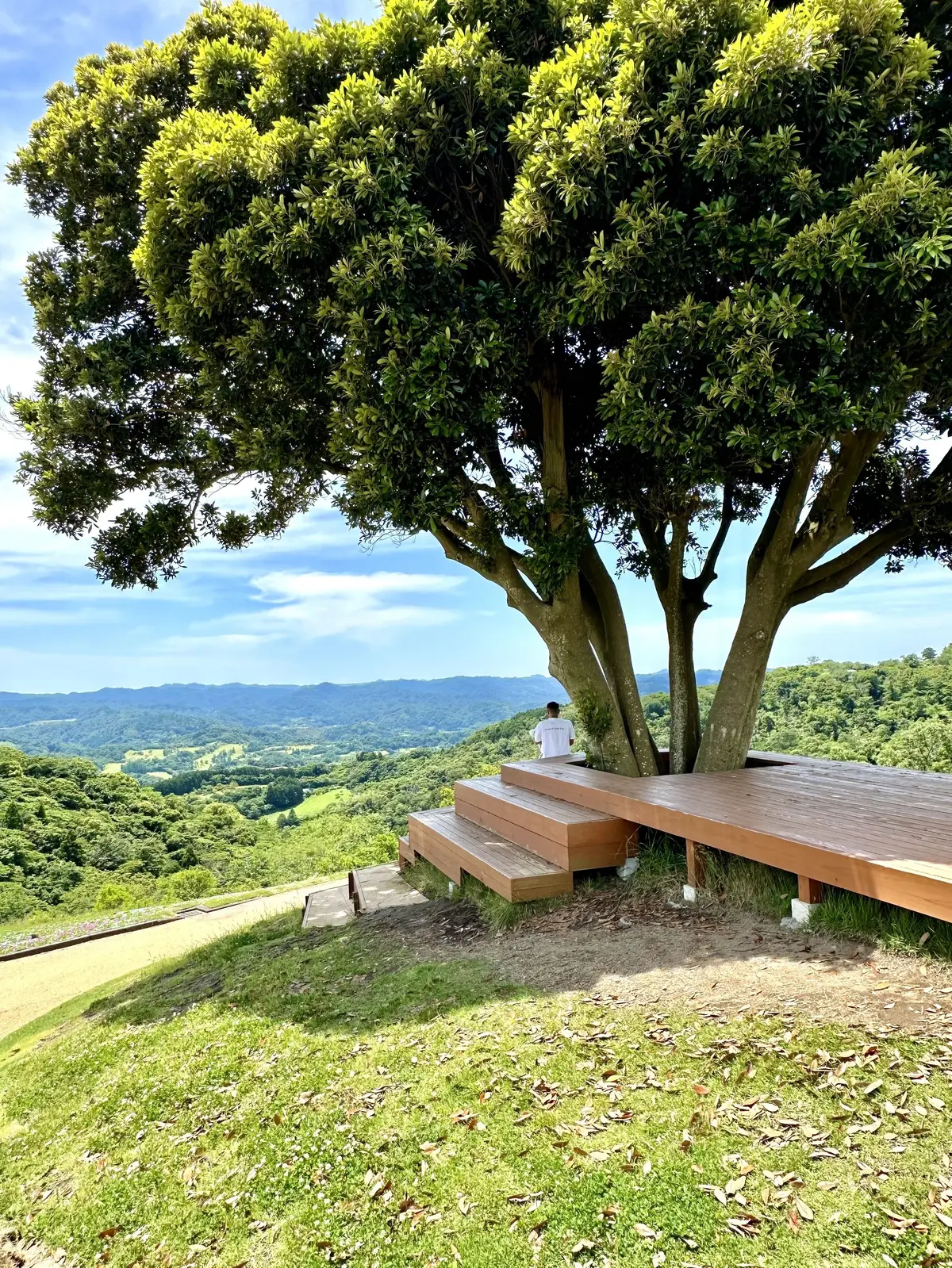 GUデニムで初夏の景色を楽しむお散歩へ♪の画像_18