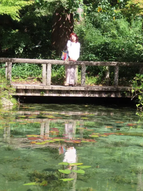 自然の中で過ごすひととき 「モネの池」「の画像_5