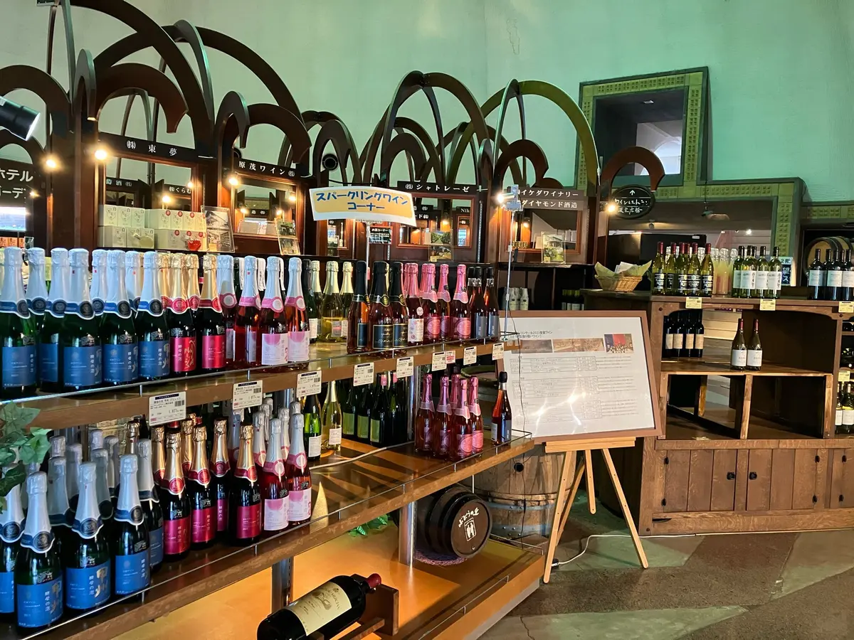 勝沼ぶどう郷　勝沼ワイナリー　ワインテイスティング　山梨　日帰り旅行　 ワンデートリップ　ソロ活　おひとりさま　エクラ　jマダム ぶどうの丘　ワインカーヴ　タートヴァン