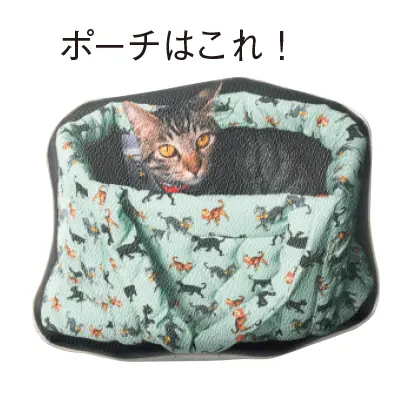 ＜モデル・黒田知永子さん＞気分＆肌ランクの画像_2