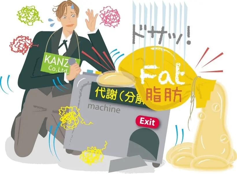 OurAge×Webエクラ　脂肪肝