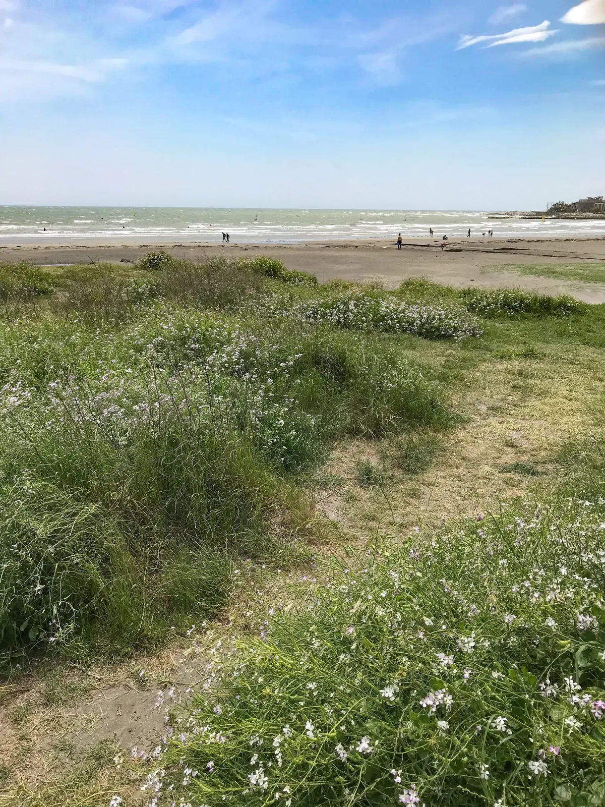 由比ヶ浜海岸　なみまちベーグル　鎌倉