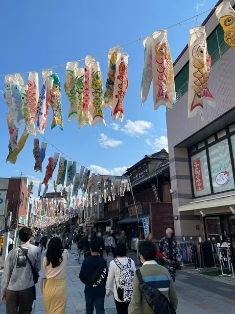 埼玉県川越市　大正ロマン通りの鯉のぼり
