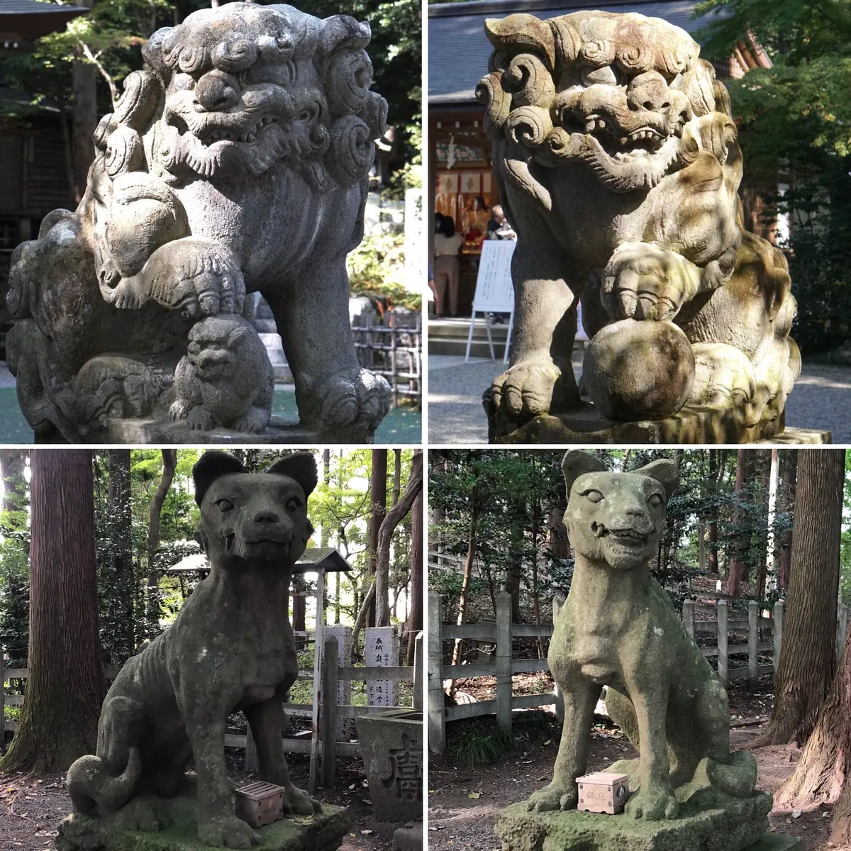 神社お参り散歩〜長瀞の画像_2