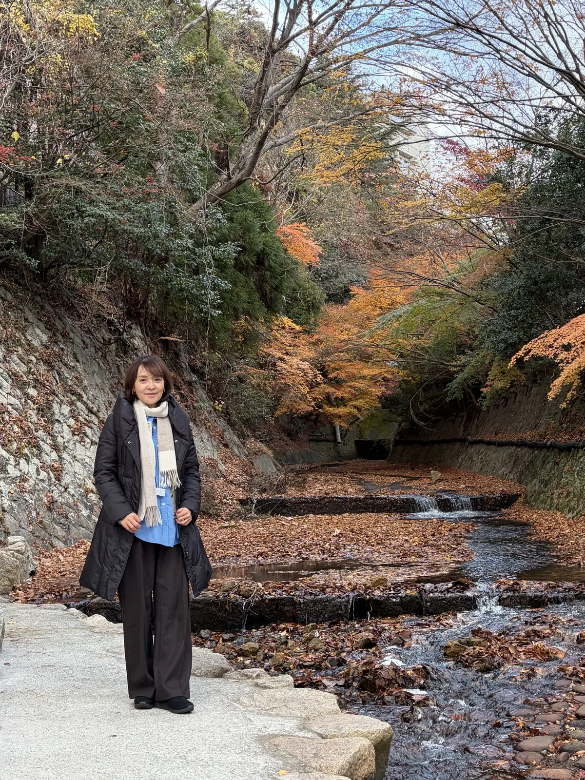 紅葉が美しい有馬温泉の親水公園