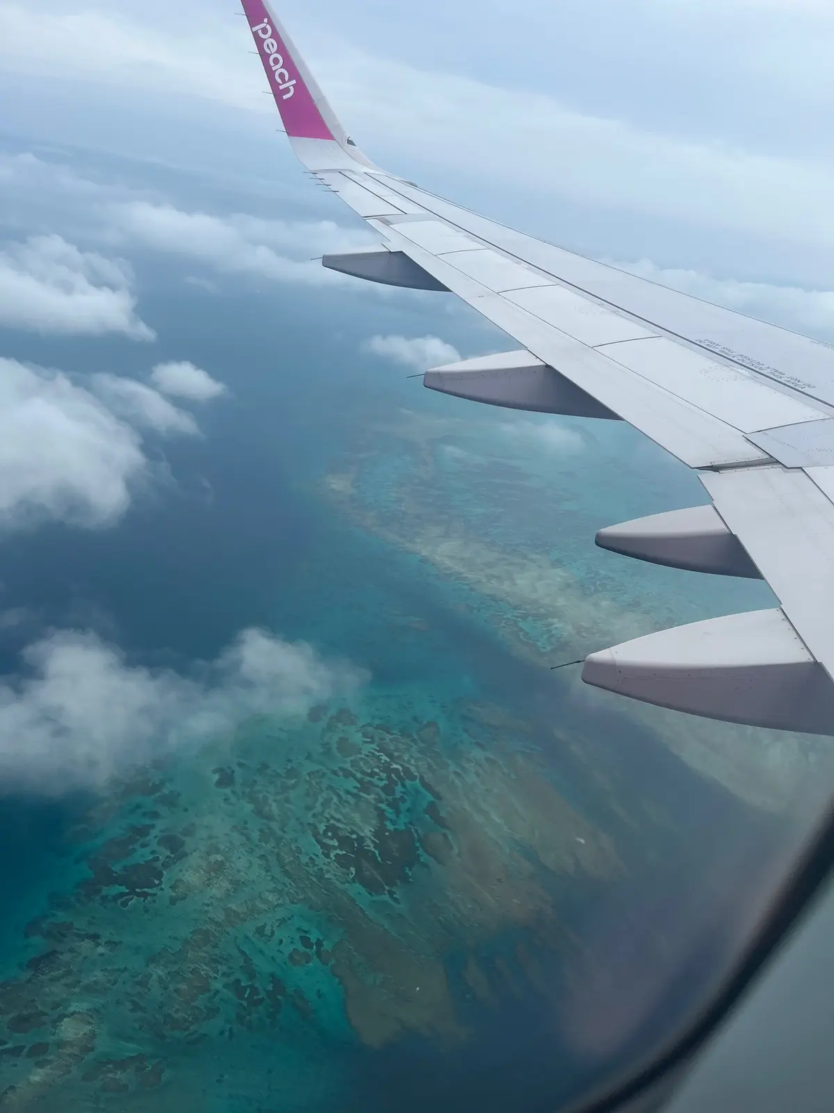 サンゴ礁の海を見るだけで泣けてくる…