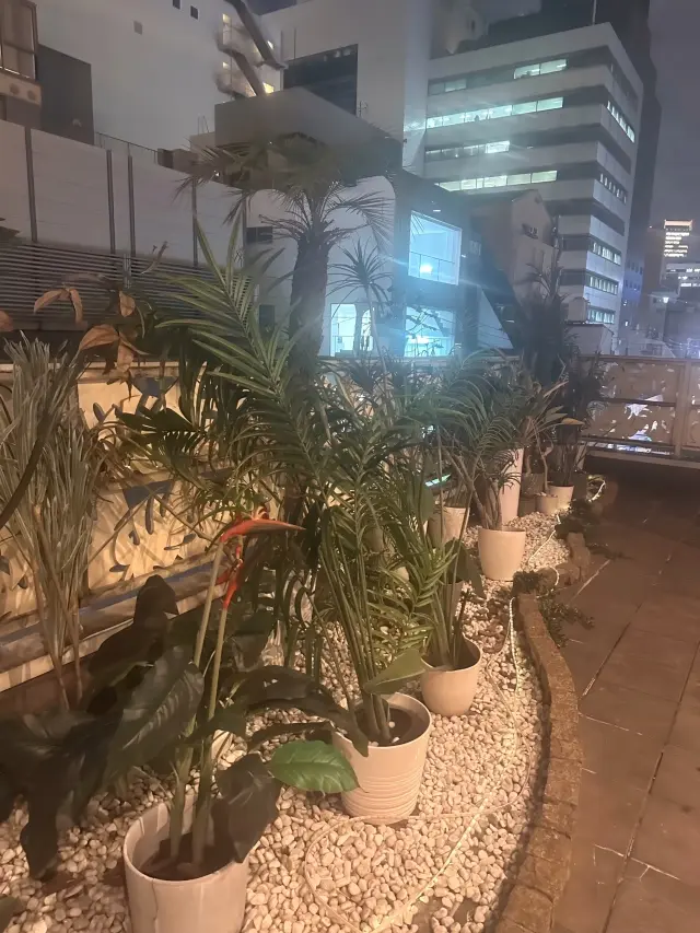 お出かけの日の春コーデ。の画像_5