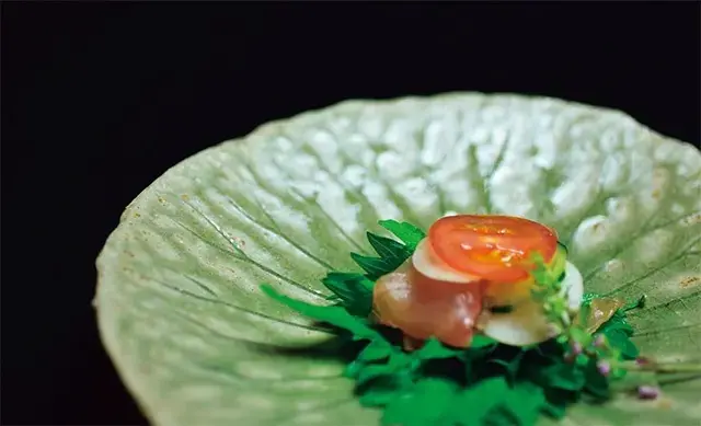 地味だけれど滋味がある、土佐の恵みがつまった和食。しみじみとおいしい