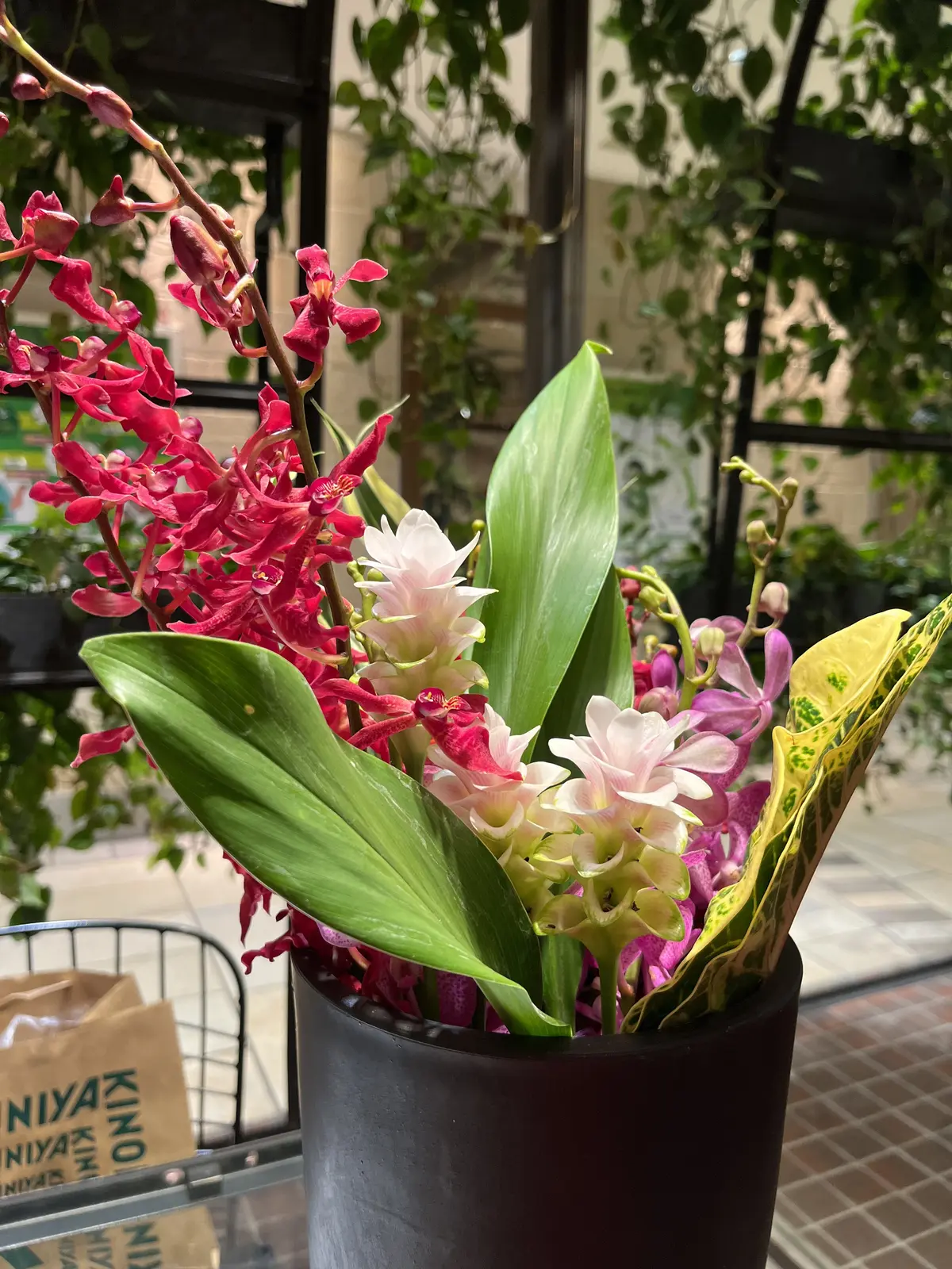 お花で南国気分を♪の画像_3