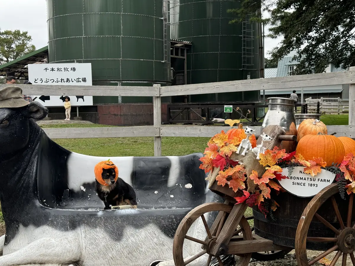 【秋の那須旅行①】超人気ベーカリーレストの画像_8