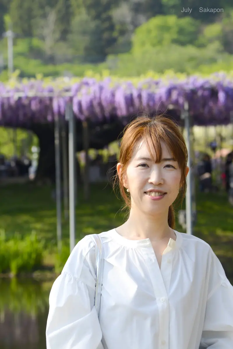 【あしかがフラワーパーク】奇蹟の大藤✨の画像_5