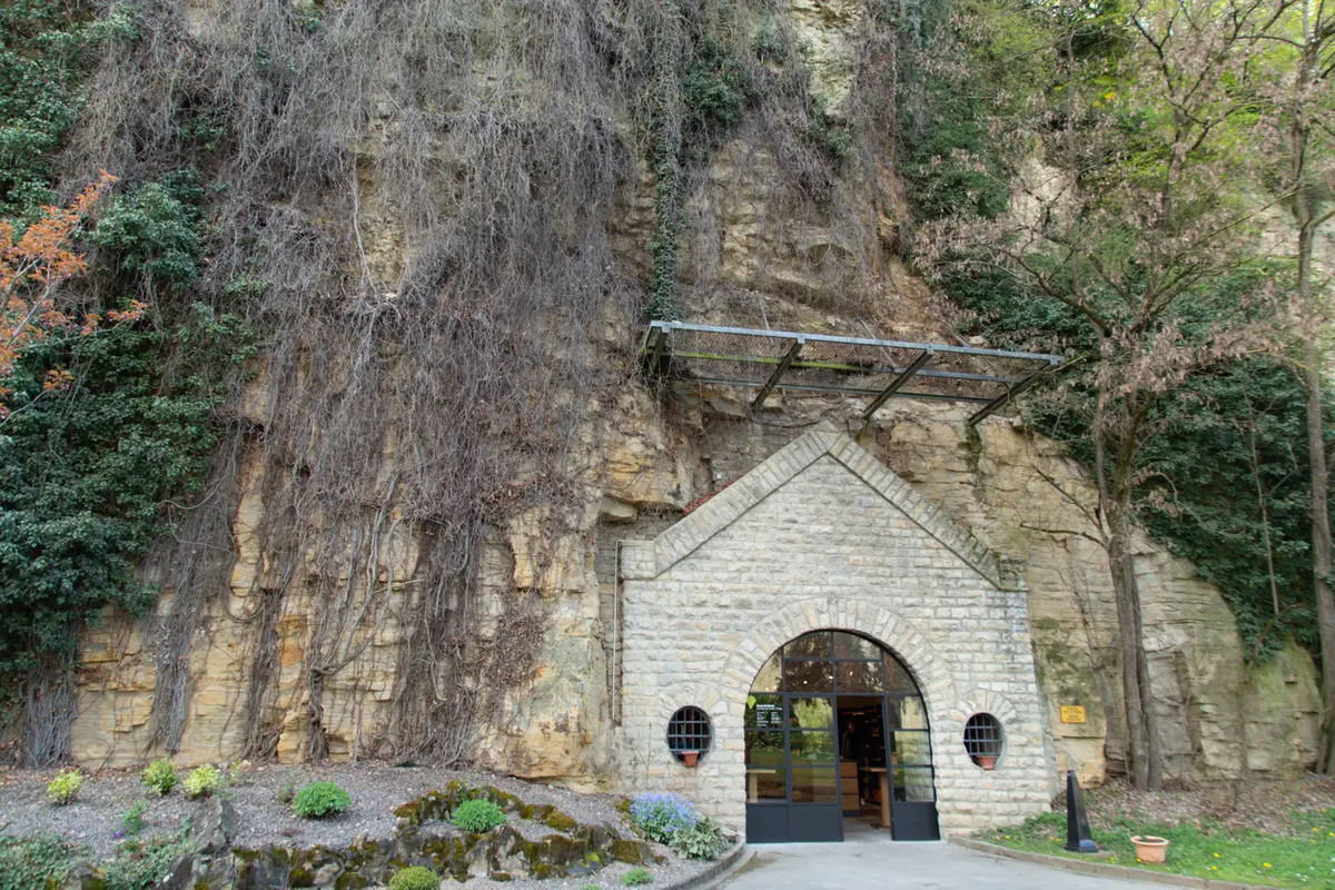 ほとんど国外不出!?の希少なルクセンブルの画像_4