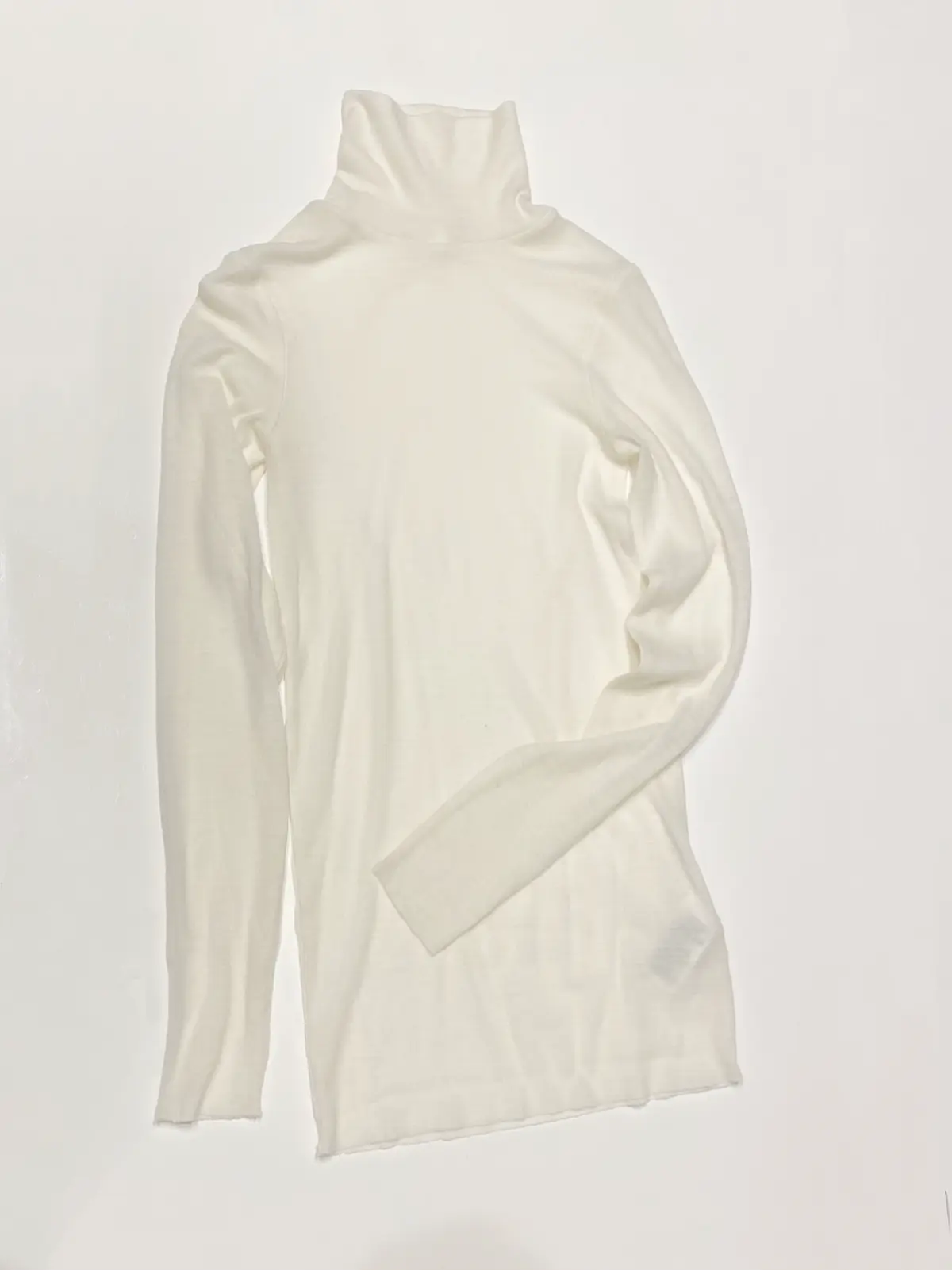 トップグレーで冬を迎えるの画像_6