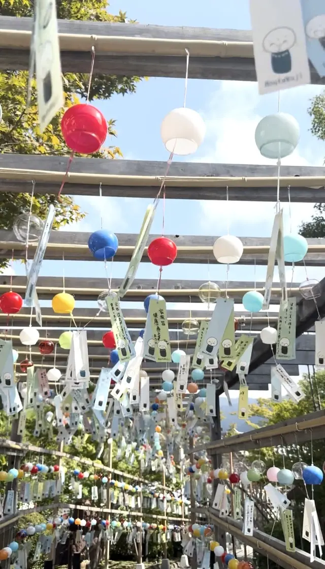 床もみじで有名な宝徳寺へ♪秋を待つ心地良の画像_9