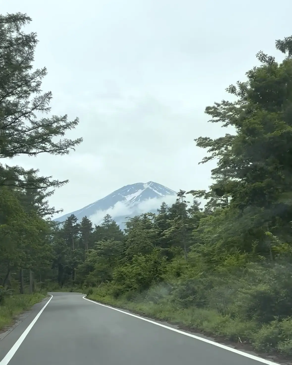 日本三大金運神社への画像_2