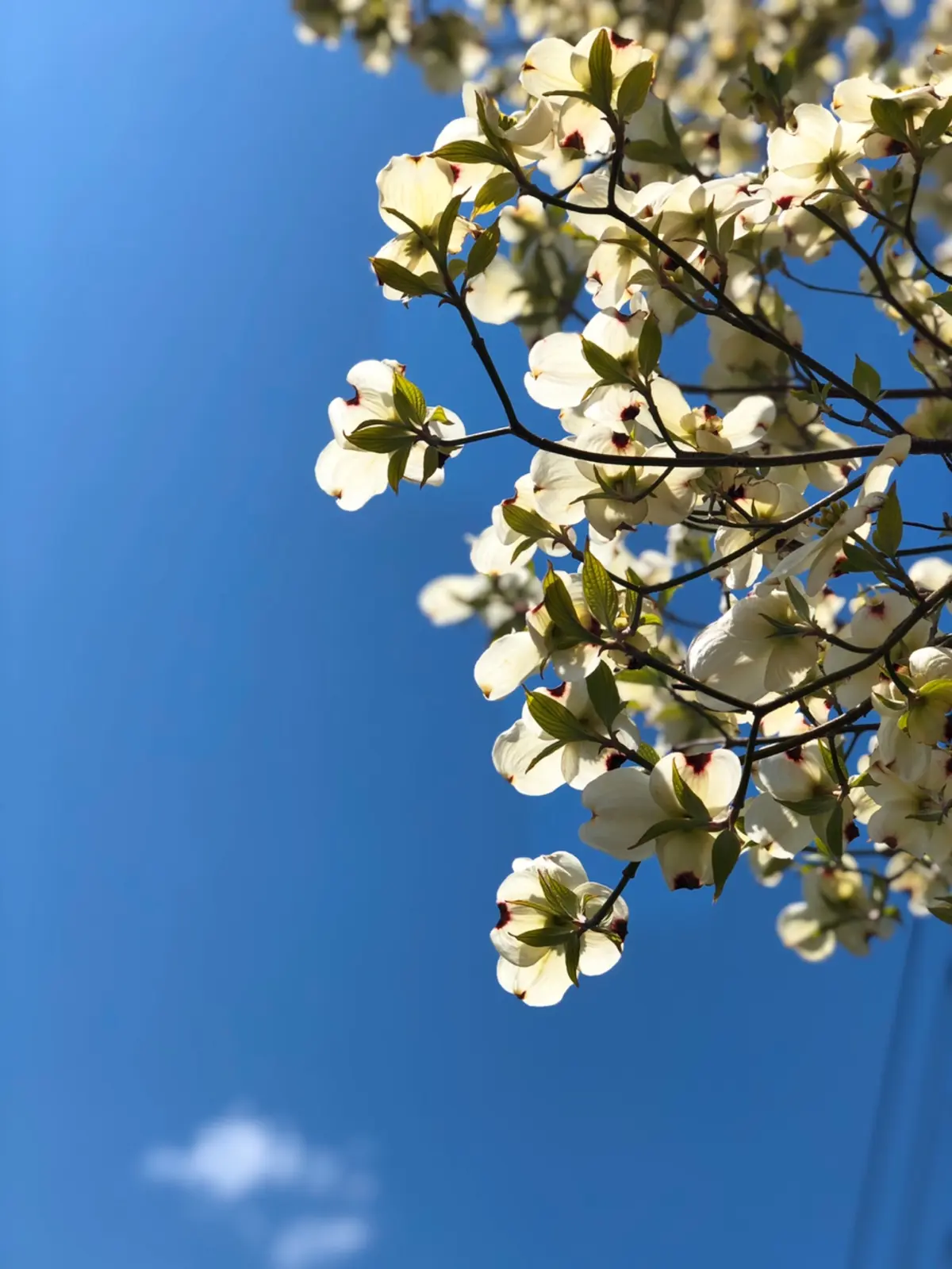 おうち時間の過ごし方の画像_3