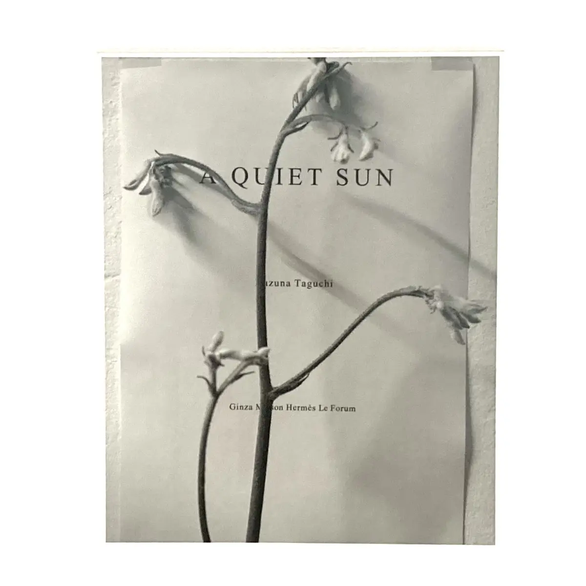 田口和奈展@ 銀座メゾンエルメスフォーラの画像_8