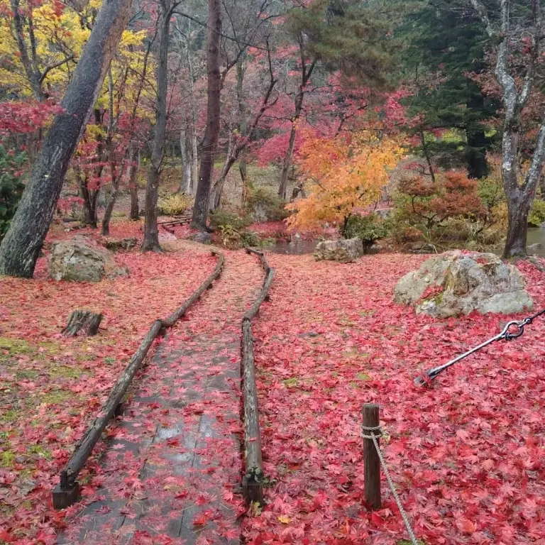 池田邸分家の紅葉・小路