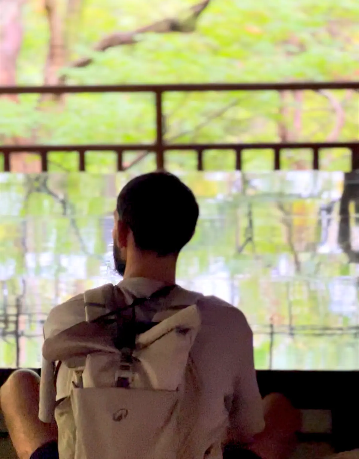 【京都】紅葉パトロール🍁瑠璃光院🍁秋の特の画像_8