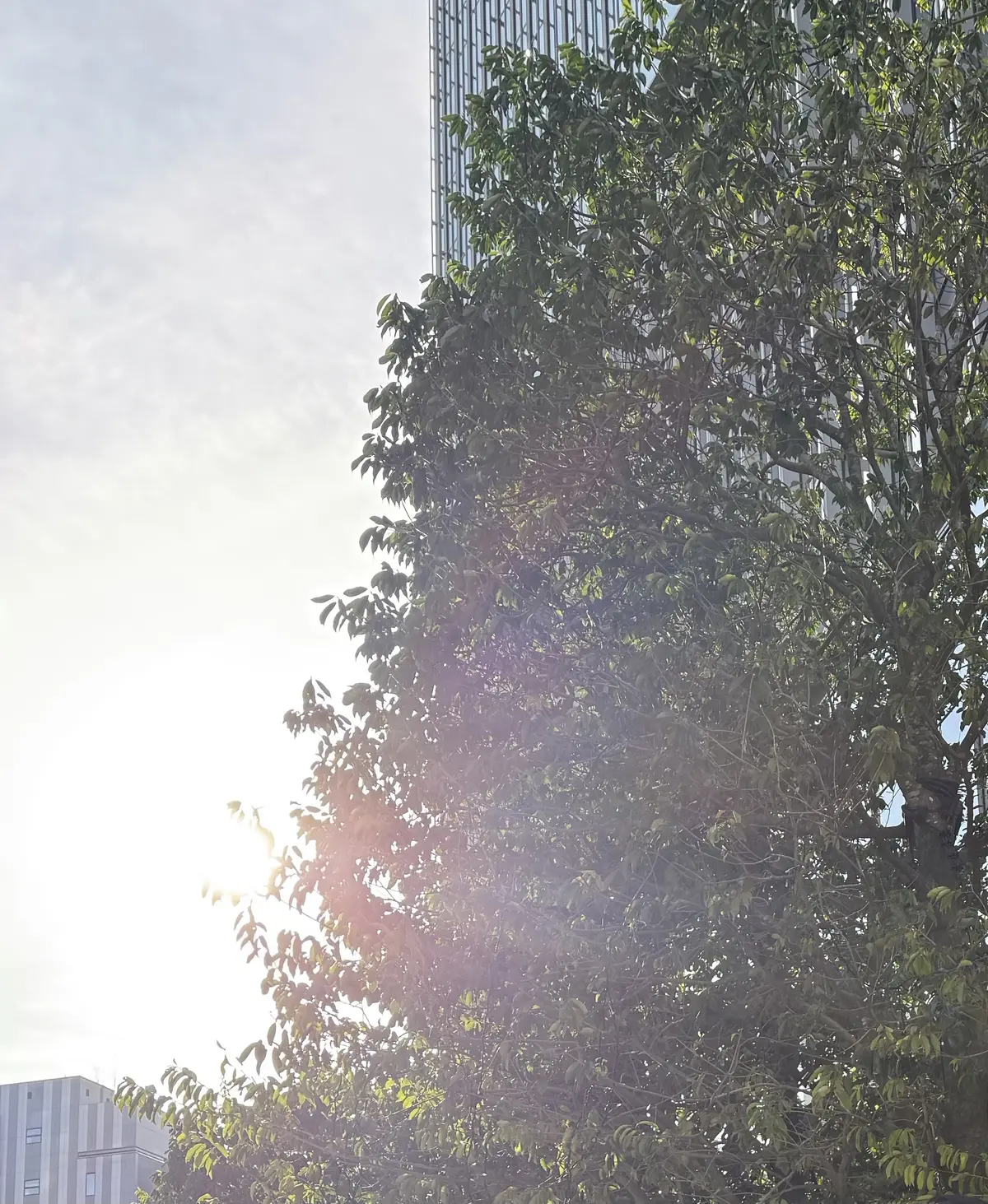 メンズニットにパール合わせ。の画像_5