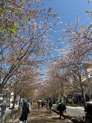 春の鎌倉でとんぼ玉作りの画像_9