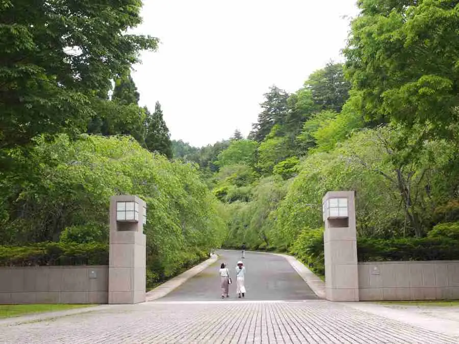 ミホミュージアム　アプローチロード　新緑の季節　5月のお出かけ