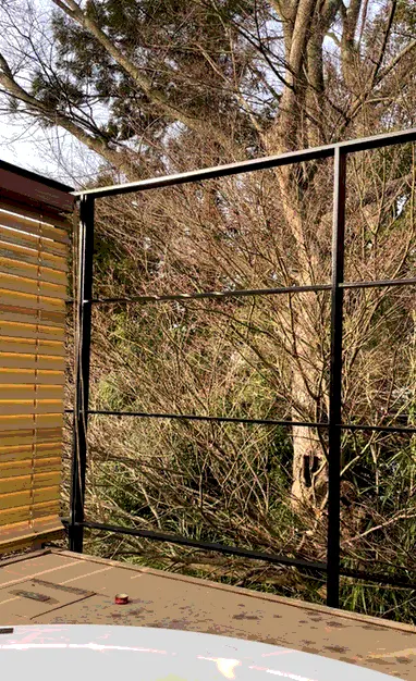 小６キッズと１泊旅行の画像_8