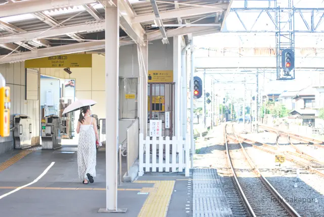 【さかぽんの冒険】ムーミン谷の風に癒されの画像_2