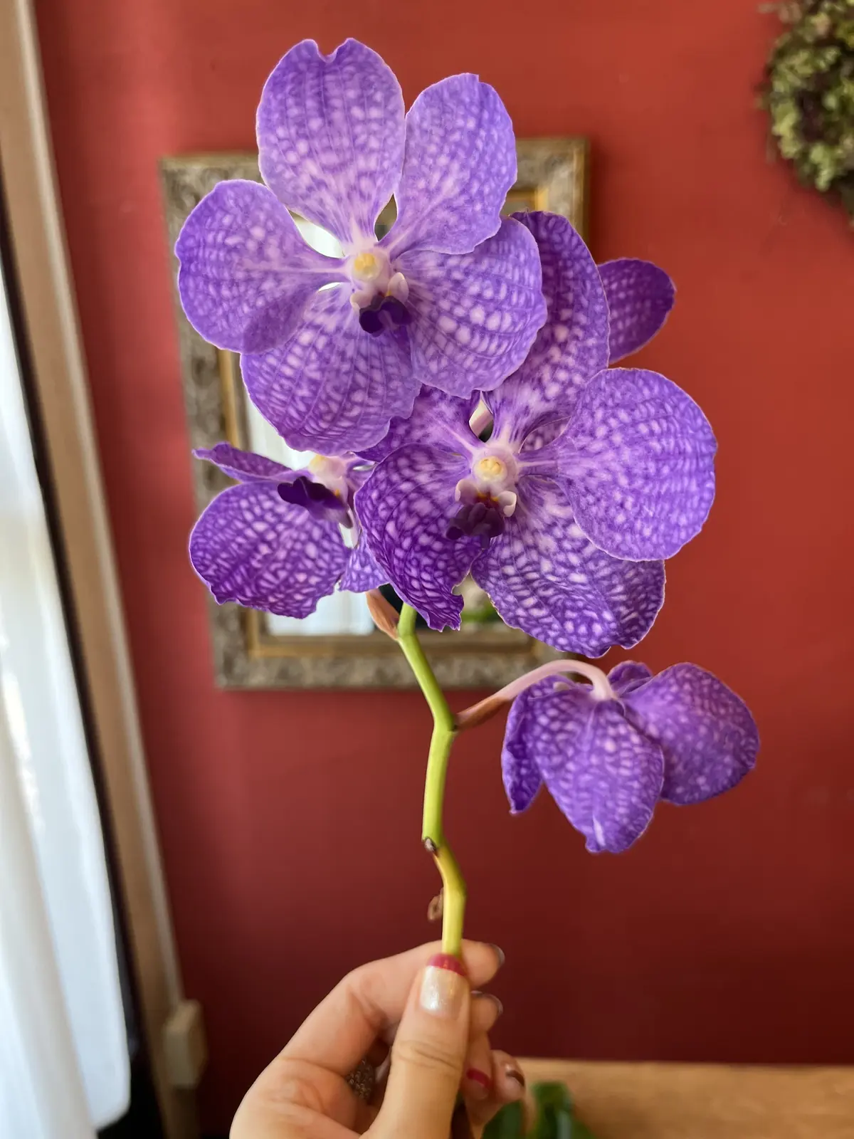 夏はやっぱり〝トロピカル〟なブーケでの画像_3