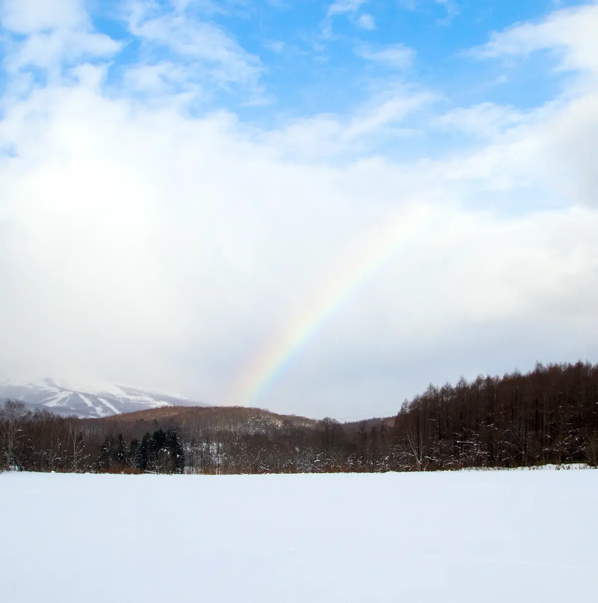 雪景色に虹がかかる