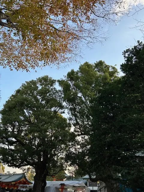 金運UP☆穴八幡様へ、また行ってきましたの画像_3