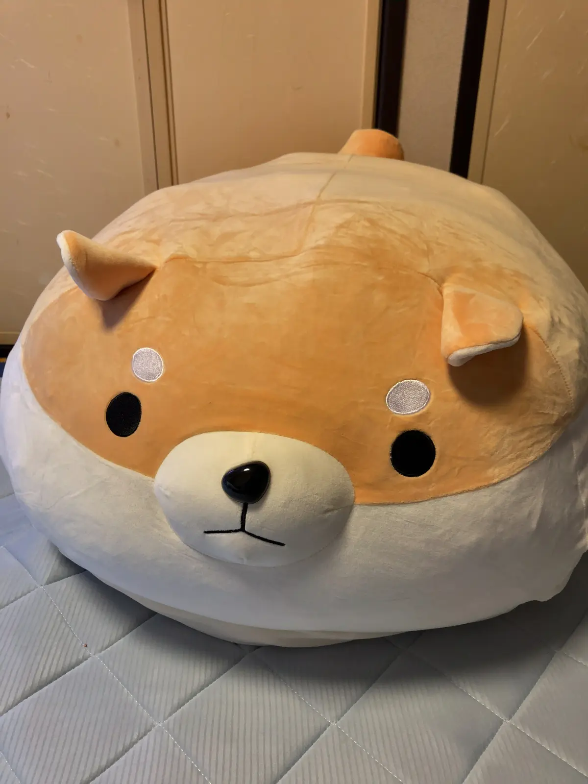 これなーんだ！？　衣替えの助っ人はかわいの画像_6