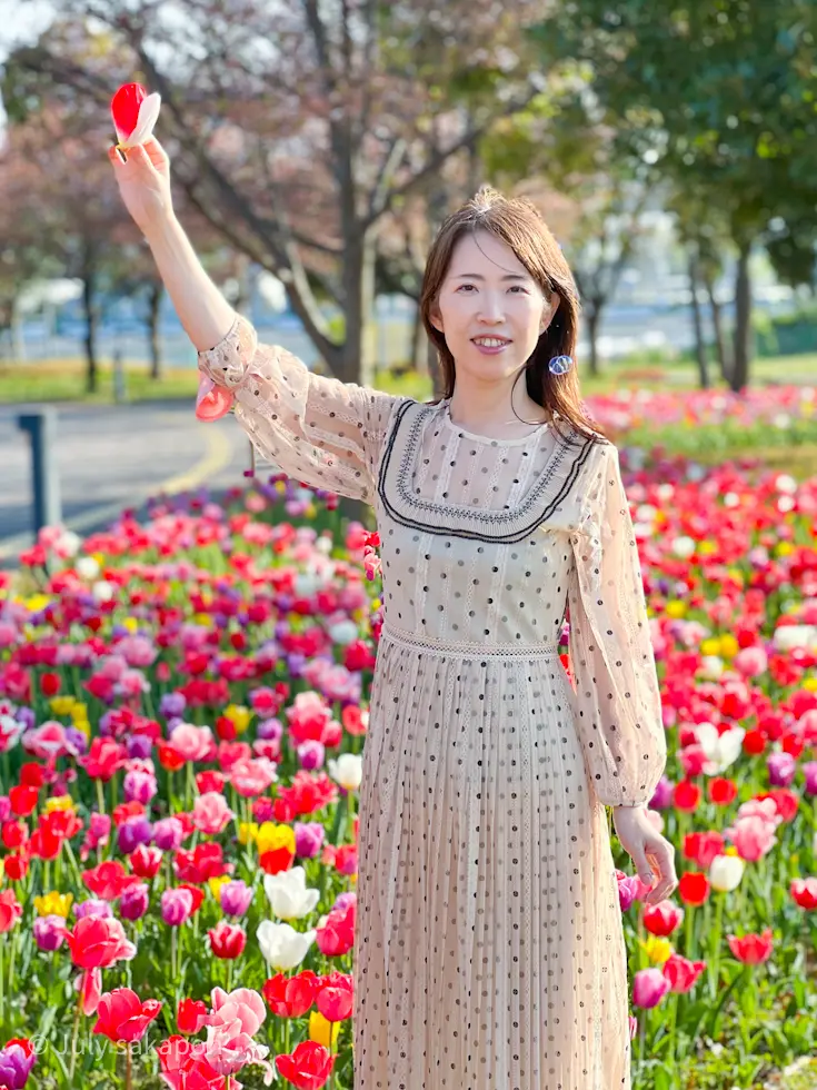 【さかぽんの冒険】チューリップとハンバーの画像_12