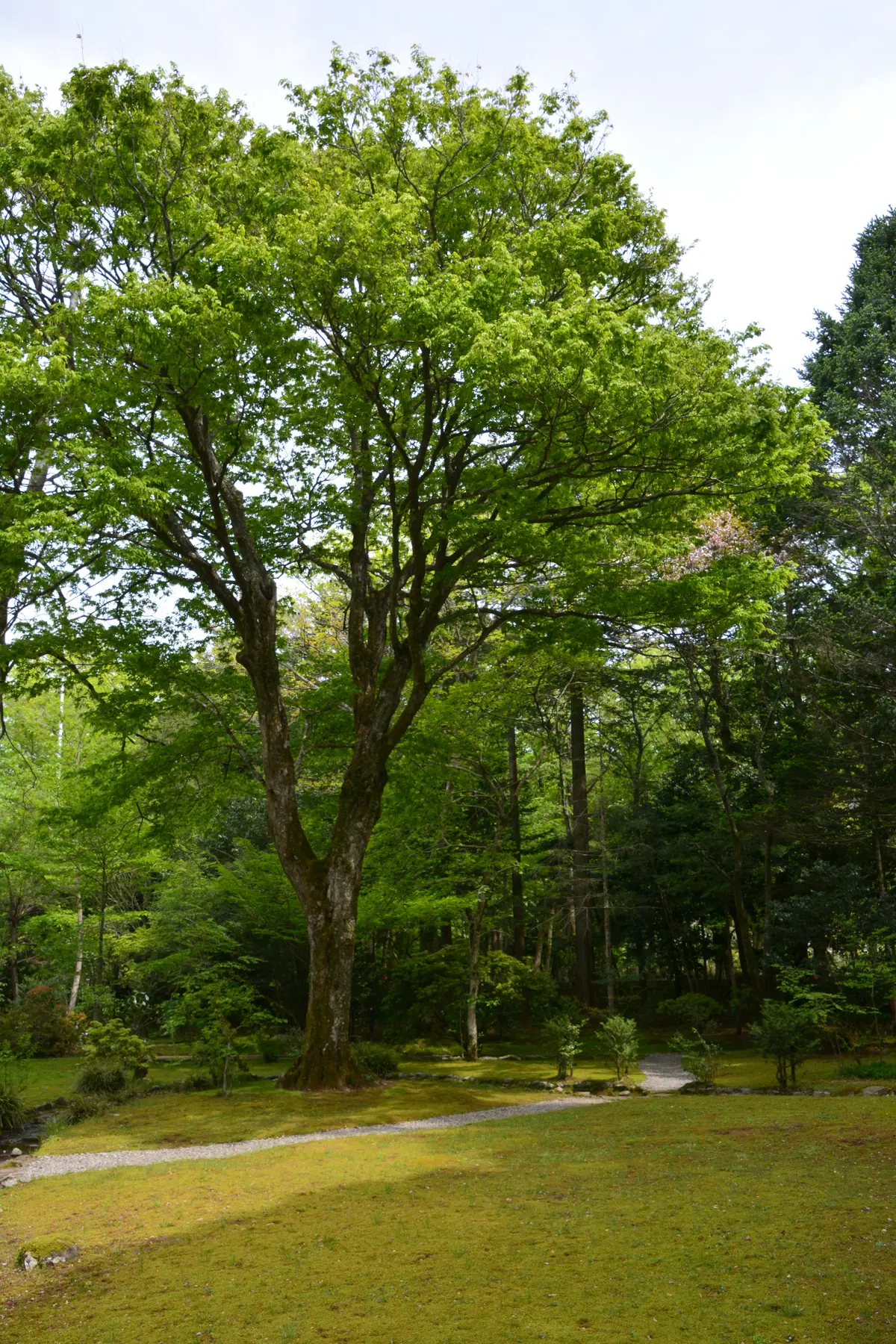 御殿場東山の旧岸邸への画像_15