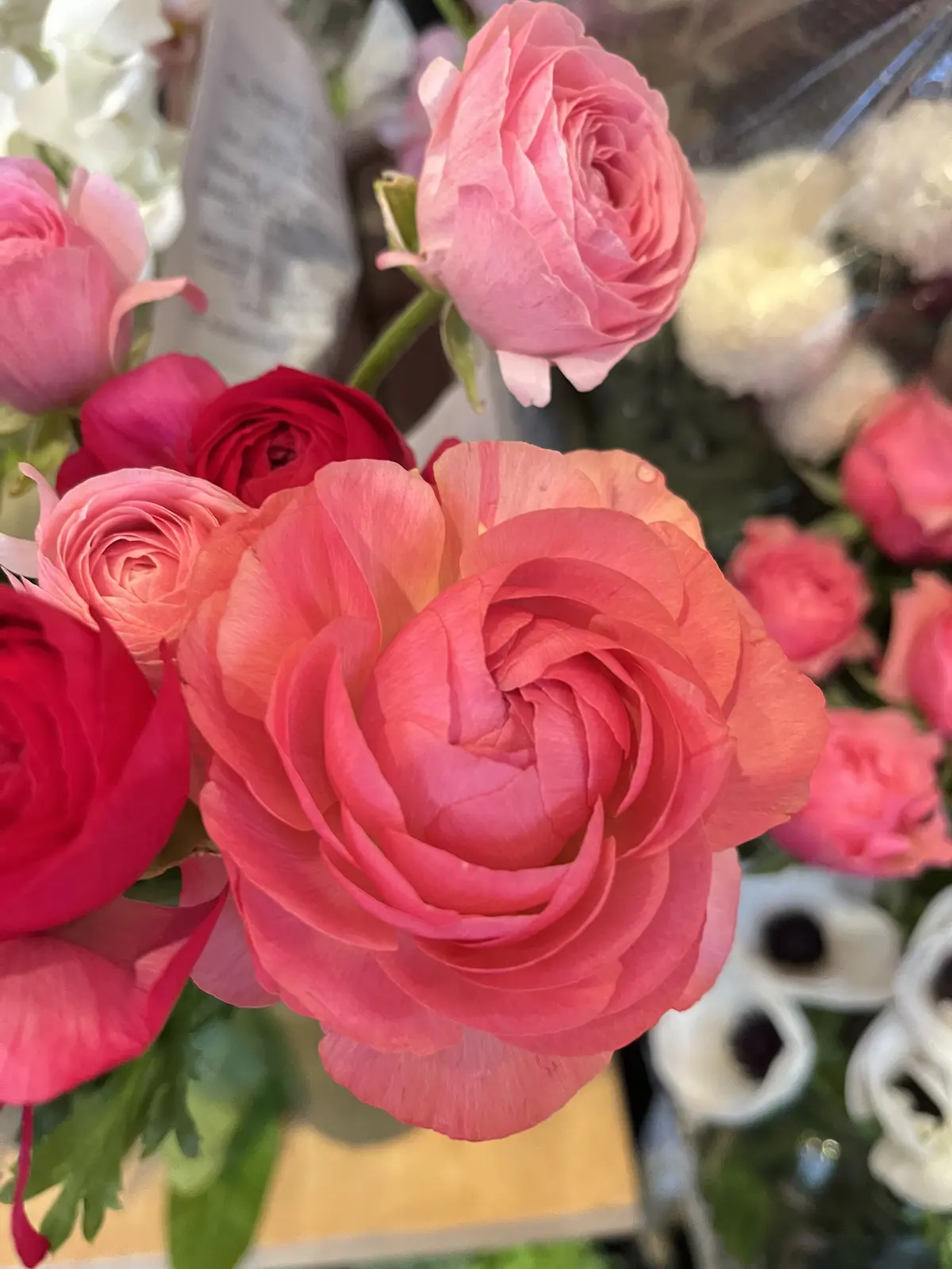 2024最後のブーケを束ねにの画像_3