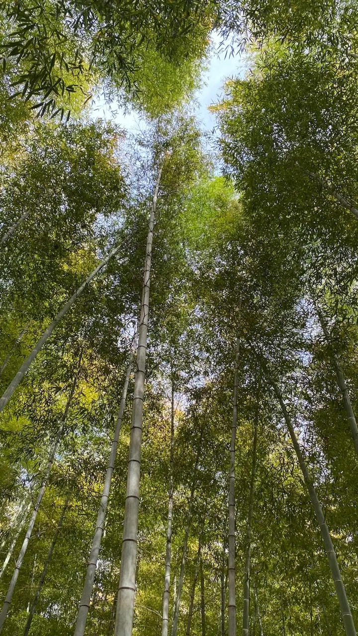 大人遠足　栃木編vol ②の画像_2