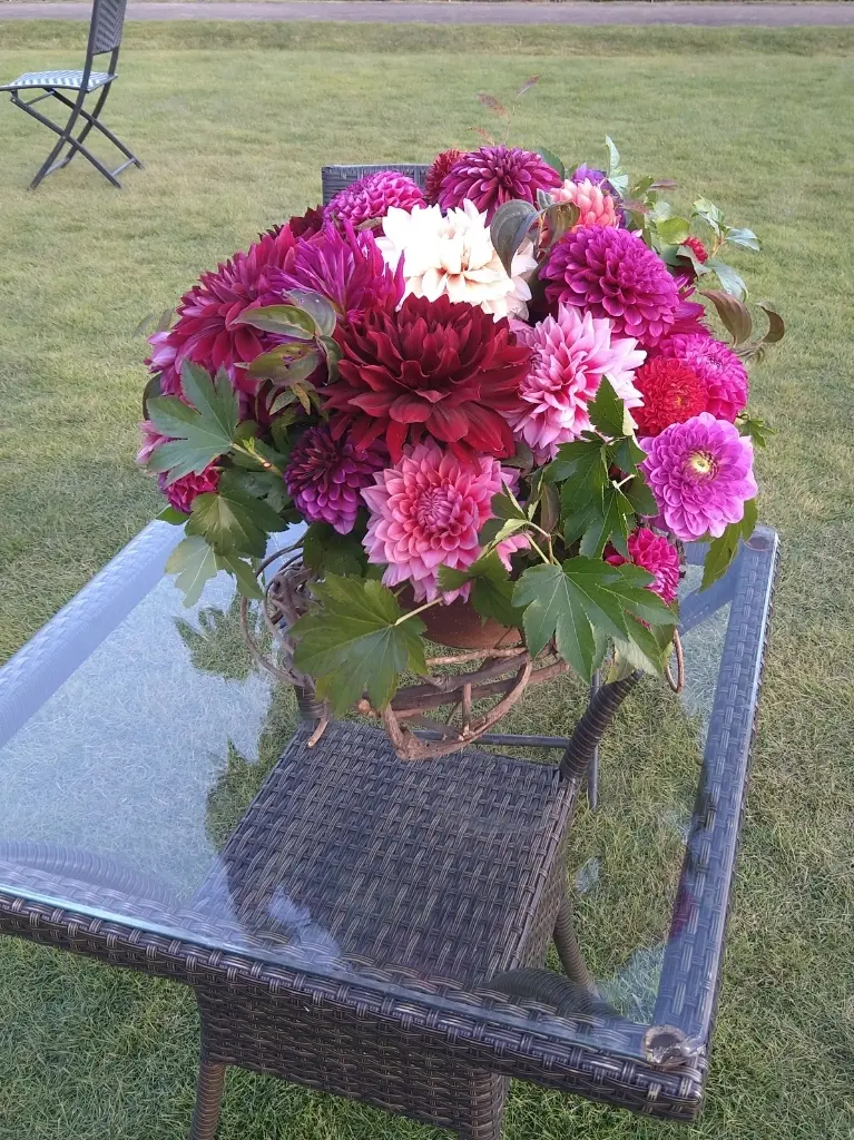 ダリアの花かご