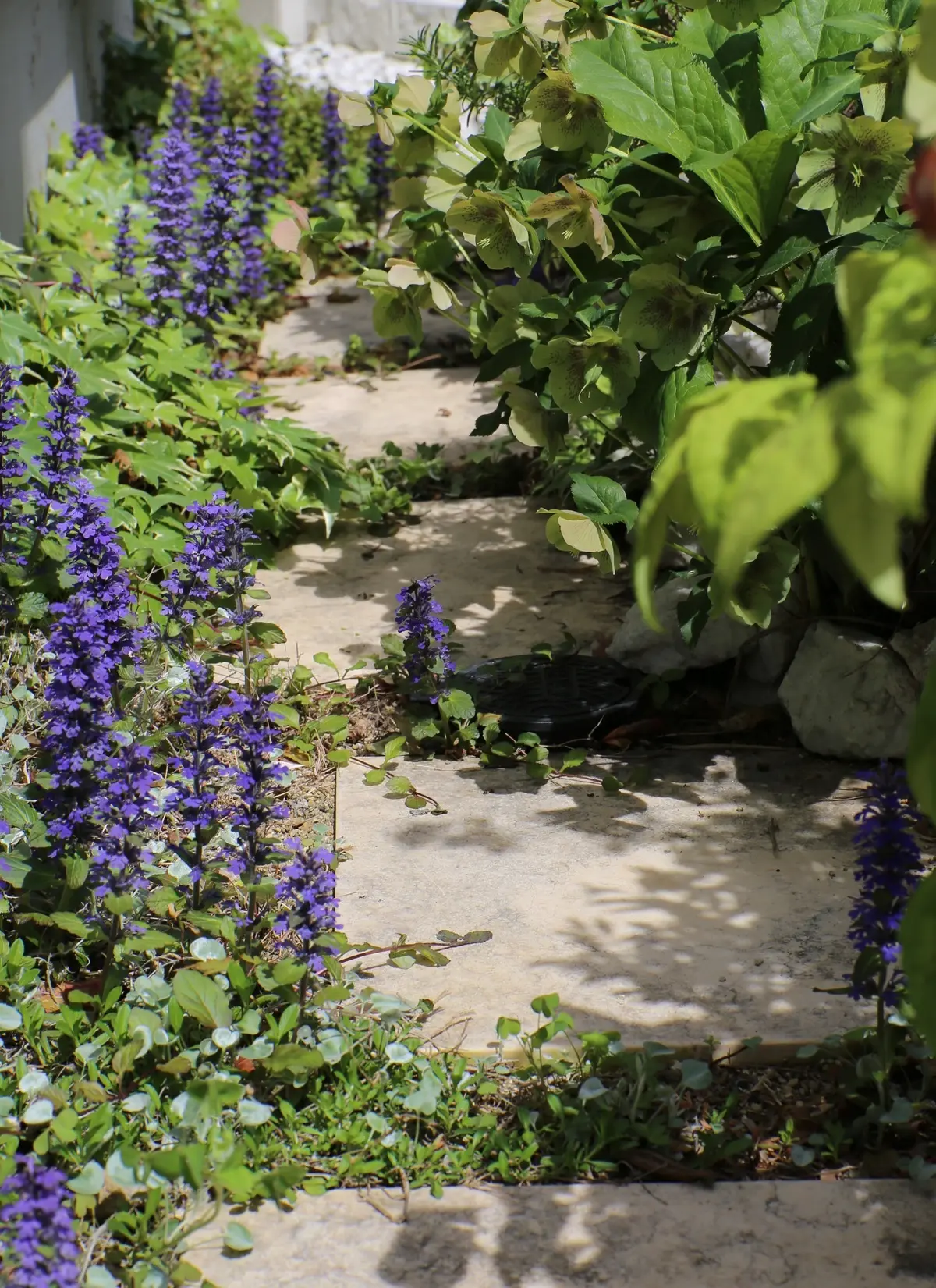チームJマダム　インテリア　お花のある暮らし
