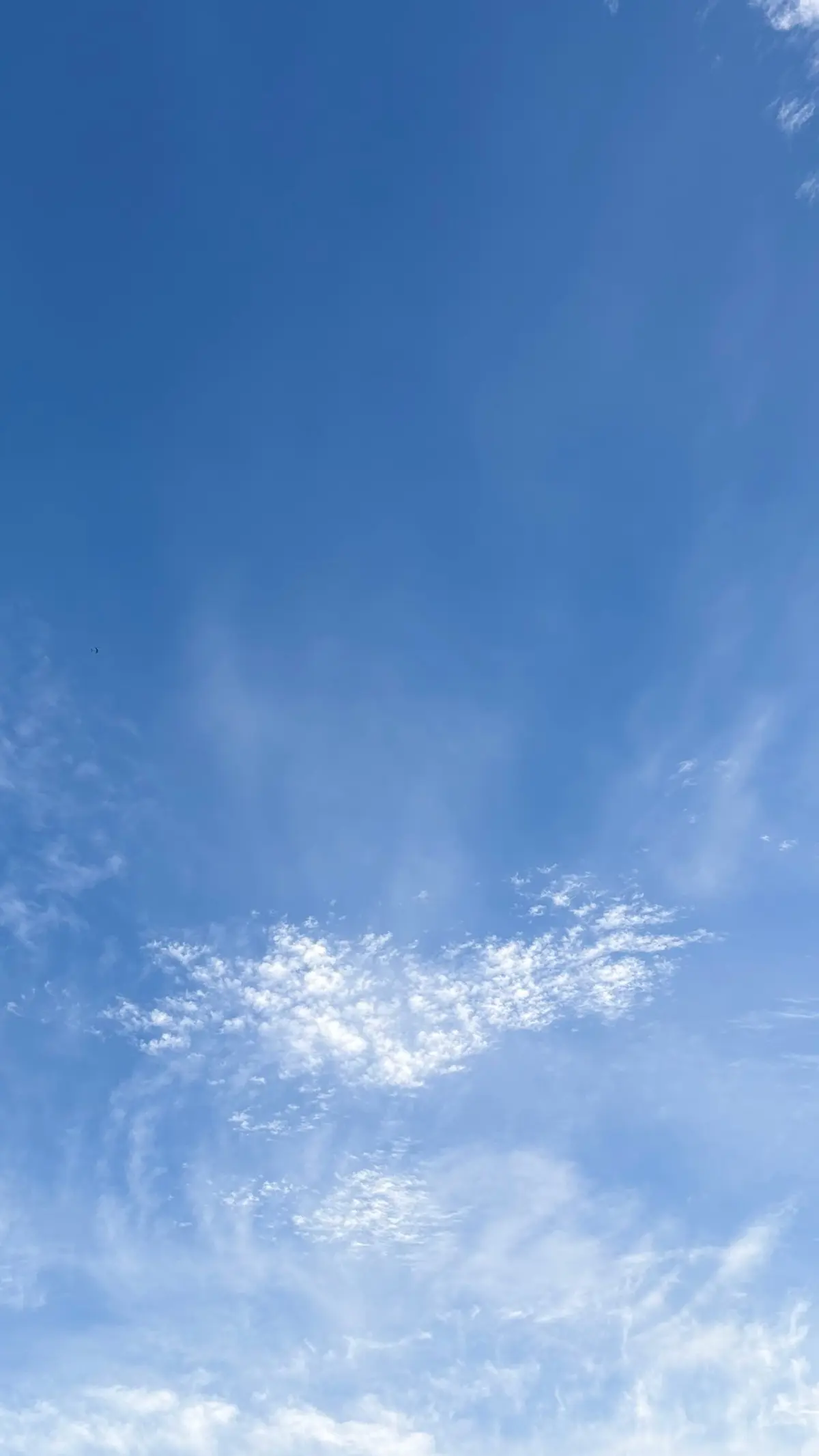 50代ユニクロセットアップ＊パンツコーデの画像_4