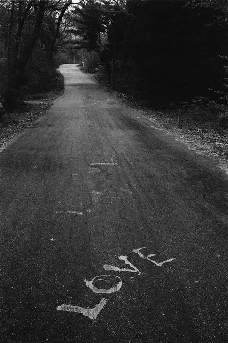 ジェーン エヴリン アトウッド展　作品