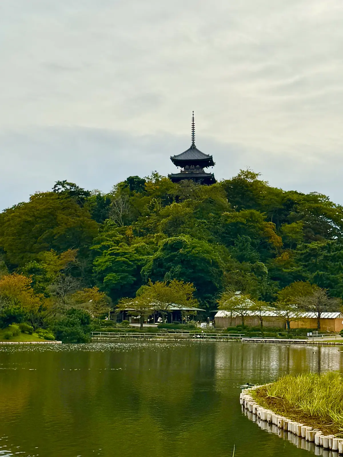 着付け教室の帰りに寄り道！着物映えフォトの画像_3