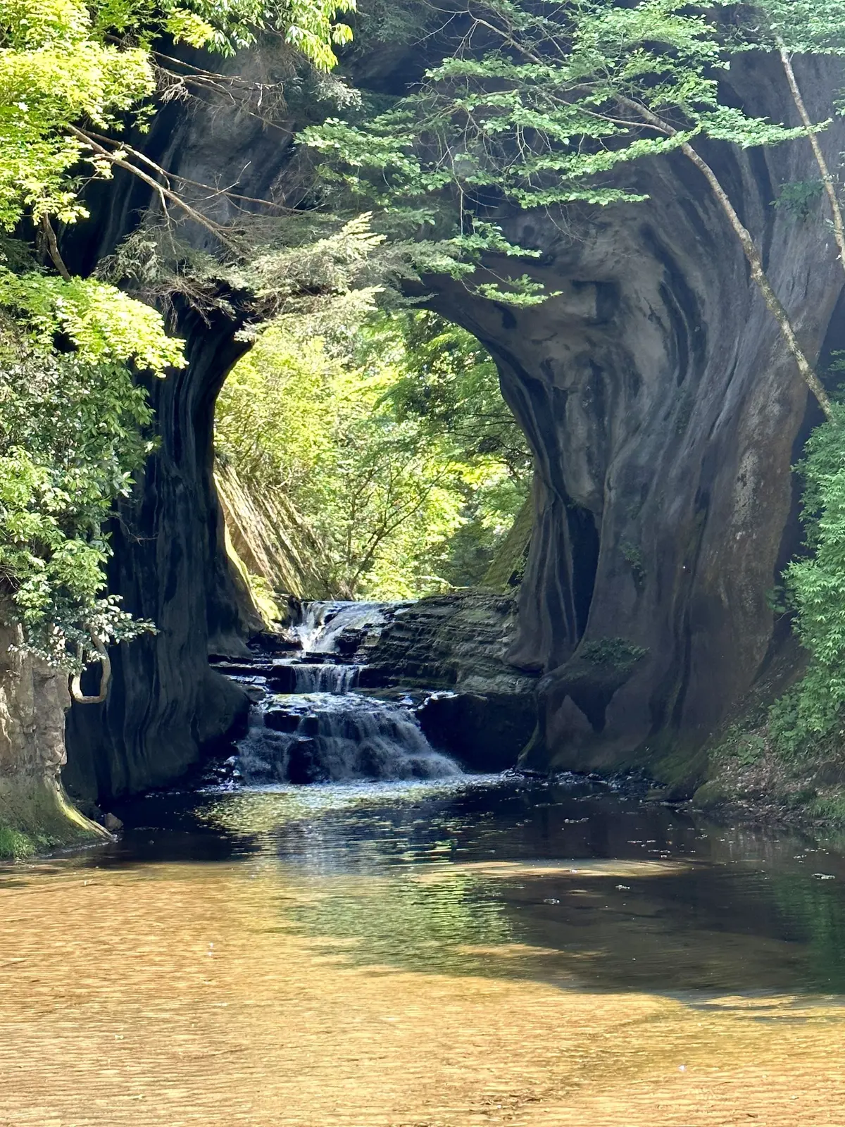 気軽におしゃれが楽しめるUNIQLOワンの画像_4