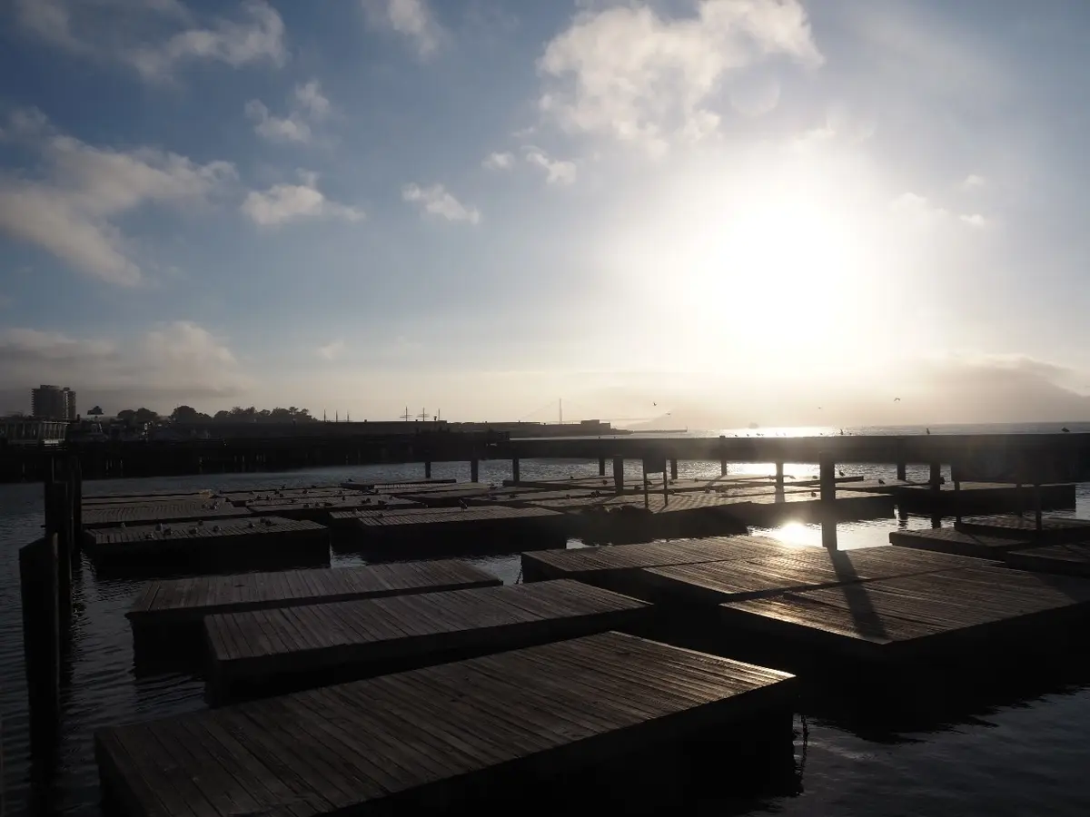 30年の時を経て…San Francisの画像_18