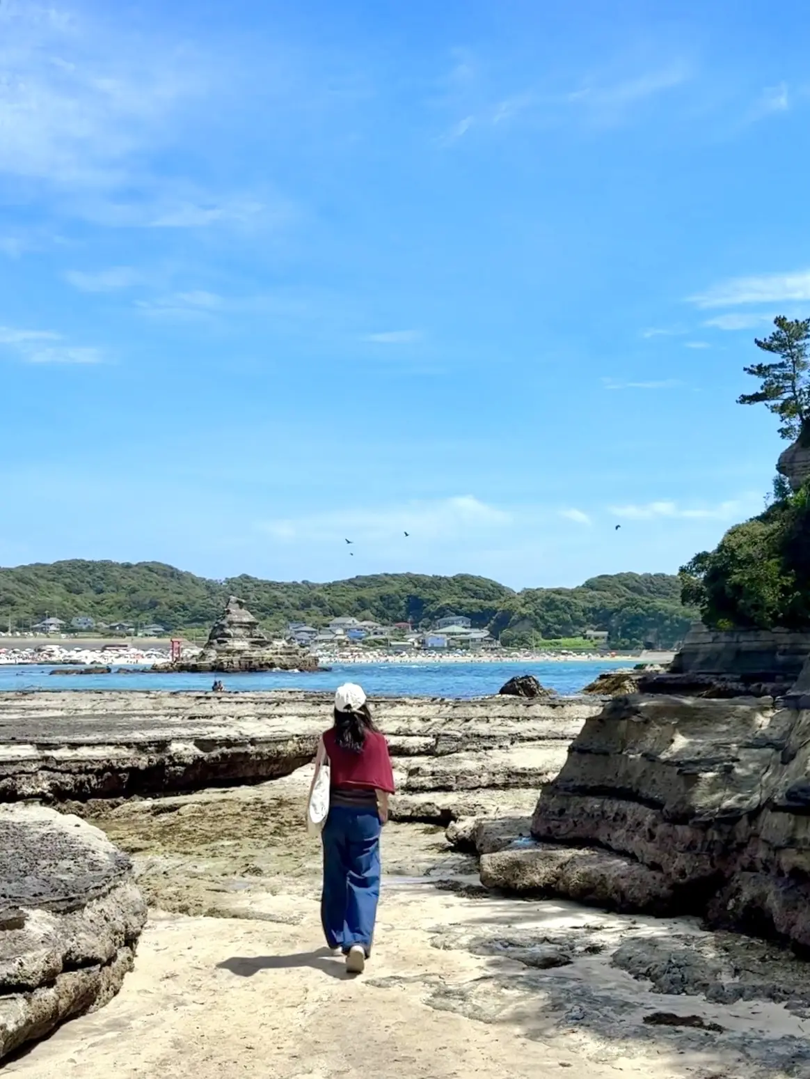 千葉県　観光名所　勝浦市　守谷海岸　岩場　日本の渚100選