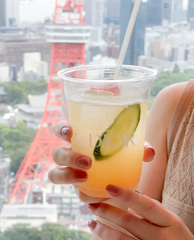 【DIOR】グランヴィルのローズガーデンの画像_6