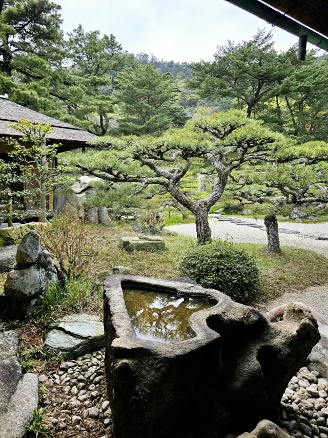 満開の栗林公園への画像_6