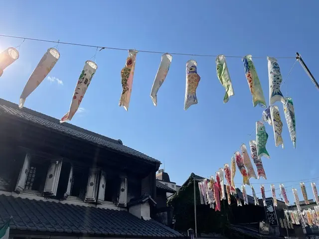 埼玉県川越市　大正ロマン通りの鯉のぼり