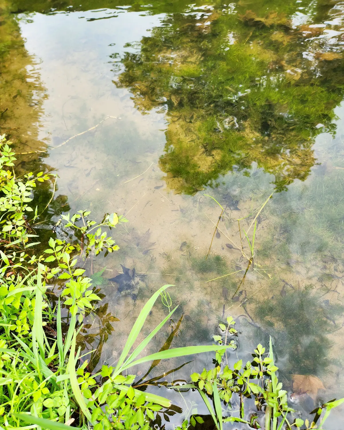 立ち寄らずにはいられないカフェの画像_7