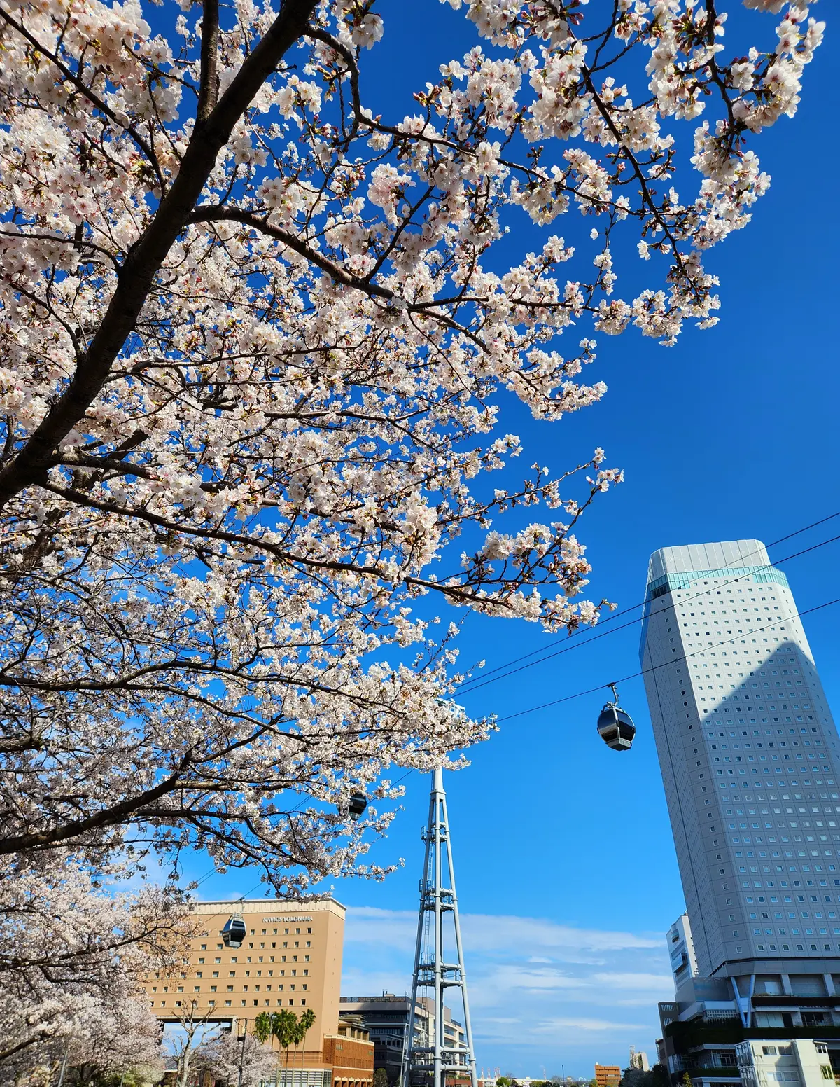 ちょうどいいカットソーでちょうどいいランの画像_11